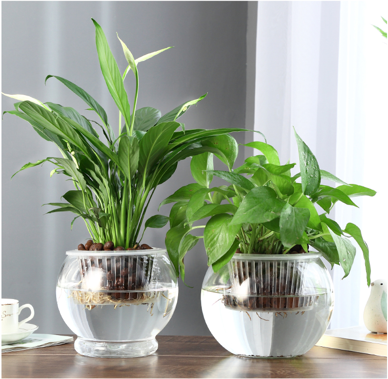 水培定植篮圆形正方形加深超深浅型无土栽培花卉盆栽固根器固定篮20号