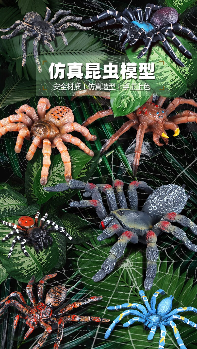 仿真昆虫玩具蜘蛛模型实心狼蛛大蜘蛛儿童动物科教认知男女孩礼物 捕