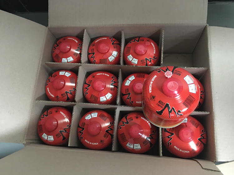 户外气罐野营野外野炊用品小煤气罐露营炉具气炉装备 230克 扁小红色=