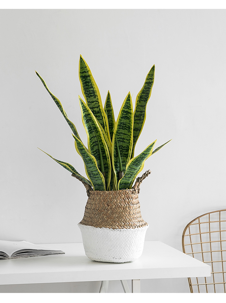 北欧创意室内装饰花卉绿植盆栽大盆景虎皮兰仿真植物客厅落地摆件