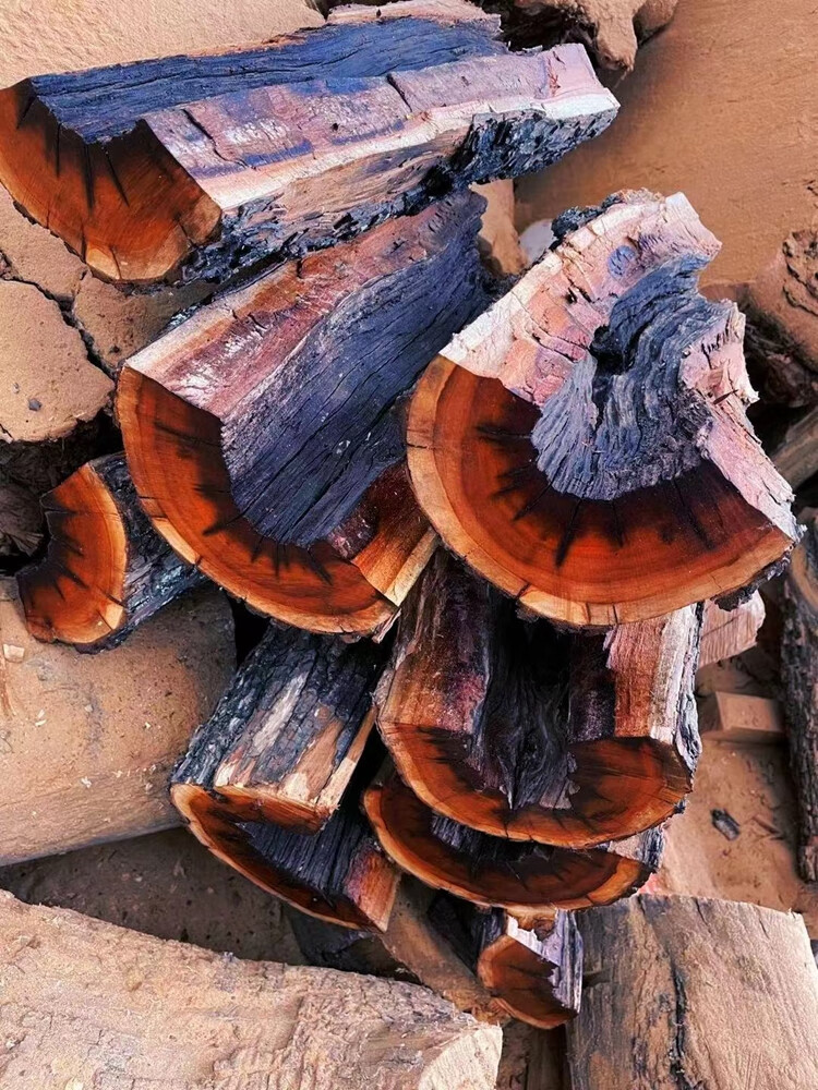 雷击枣木原木雷劈千年枣树 自然雷纹真正雷击木 雷击桃木活树砍伐