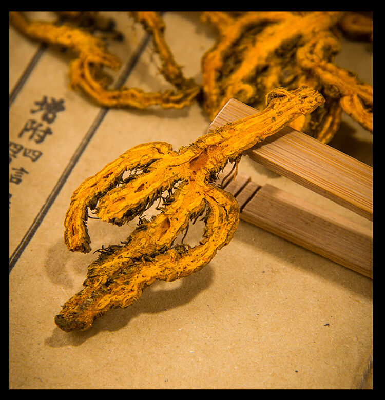 有仁堂黄连批实发黄连切片新货四川苦黄连鸡爪连片泡茶煲汤下火 黄连