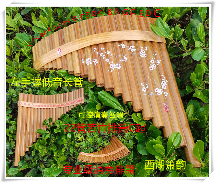 80b6560deec86608.jpg