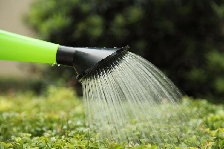 红豆加厚塑料510大花洒水壶浇花喷壶家用长嘴浇水园艺工具35l花壶蓝色