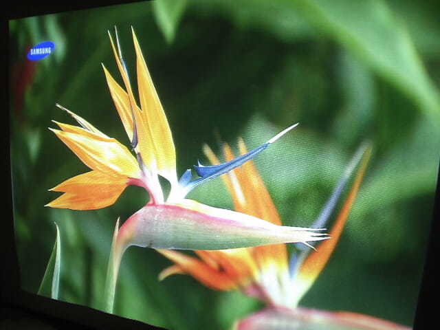 二手9成新家用投影机爱普生d290高清wifi1080p3d办公会议短焦投影仪