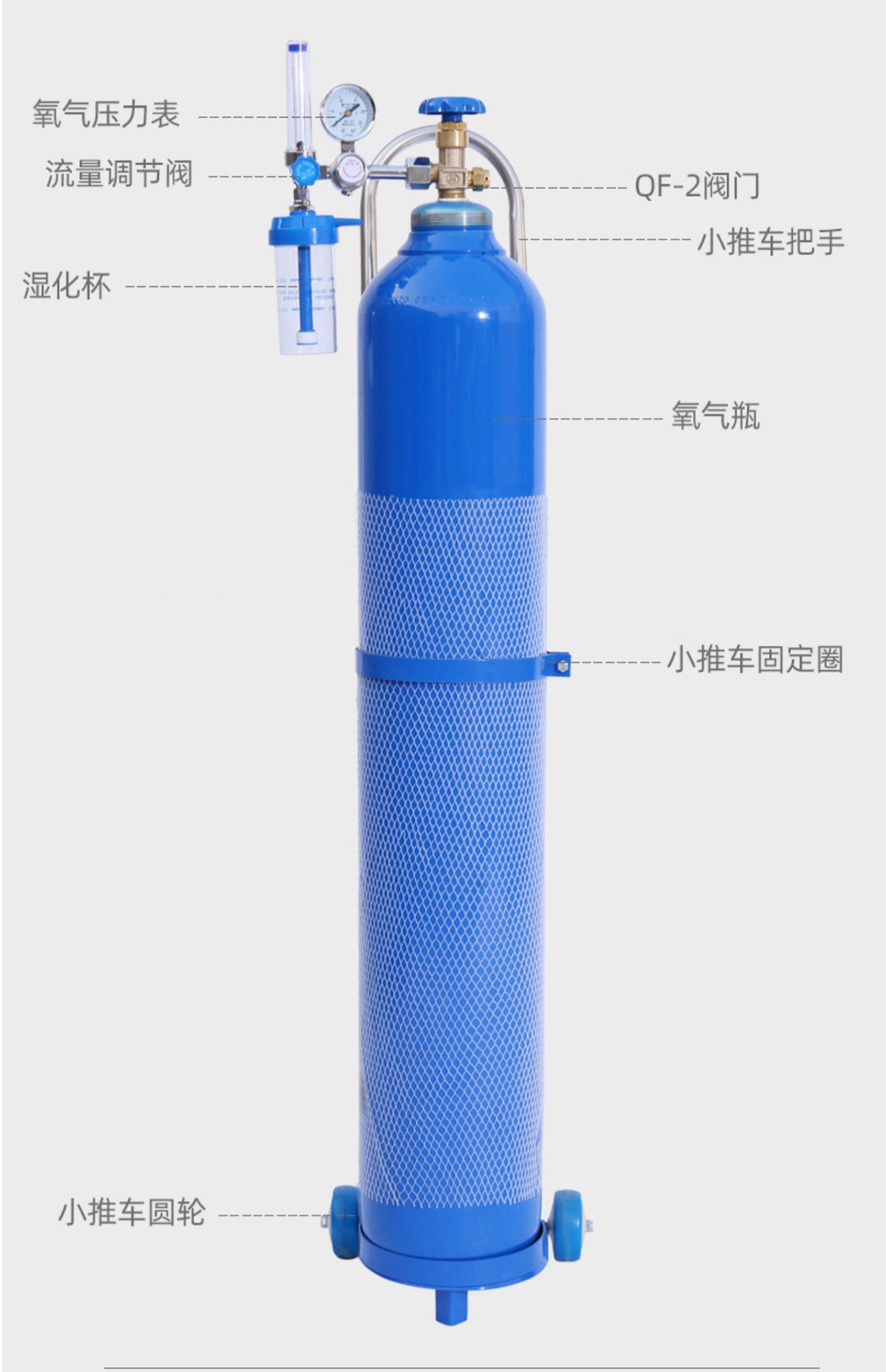 便攜式氧氣瓶家用小型鋼瓶10/15升20升40升吸氧醫療缺氧孕婦 15升單瓶