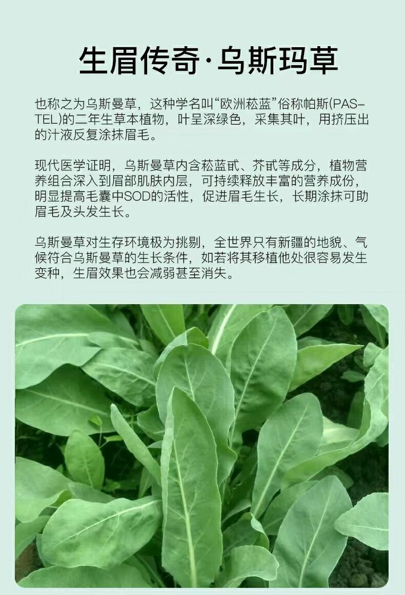 乌斯玛草棒生发新疆乌斯玛草棒乌斯曼生眉笔头发棒草浆汁奥斯曼睫毛发