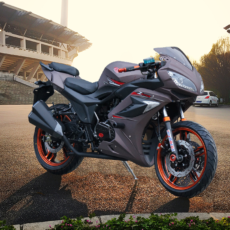 正品新款电喷摩托车大跑车150cc地平线r2街车越野重型机车公路赛双缸