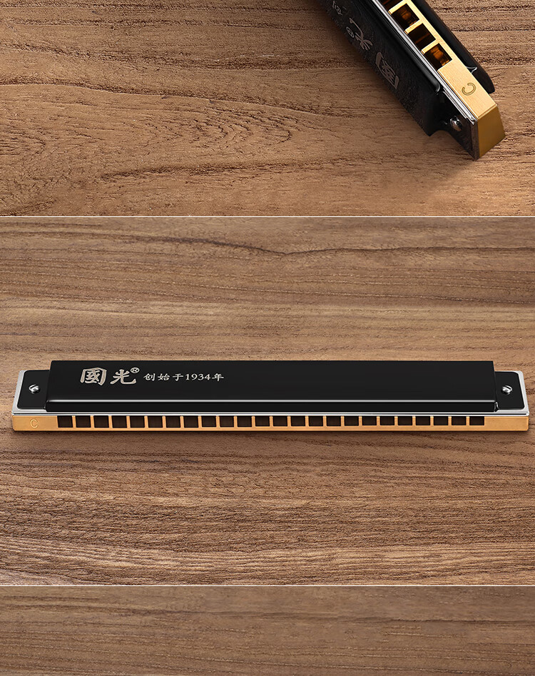 国光单音口琴铜格版24孔初学者成人男女高级专业演奏级乐器黑色单音c