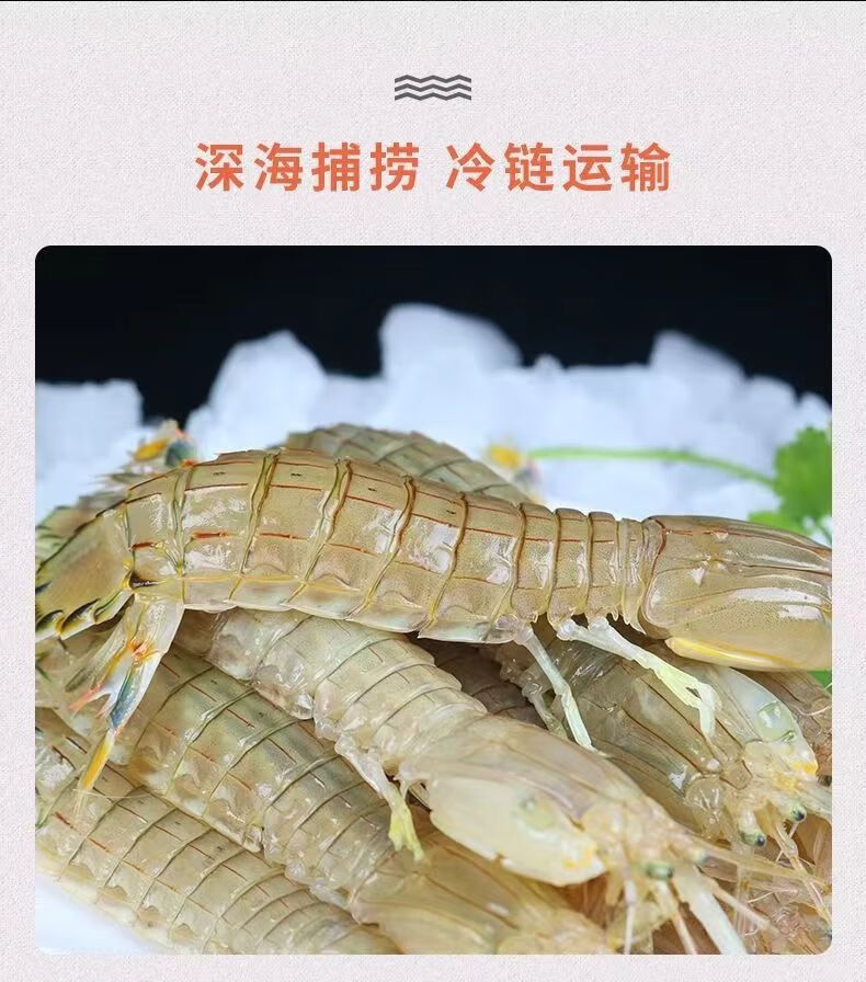 4，季節肥滿肉皮皮蝦熟凍蝦爬子瀨尿蝦婆蝦姑海鮮水産 熟皮皮蝦(中公)*3斤