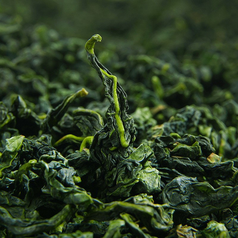 陈一凡 金观音茶500g 龙涓南崎产区秋茶 安溪高山茶叶乌龙茶新茶黄金