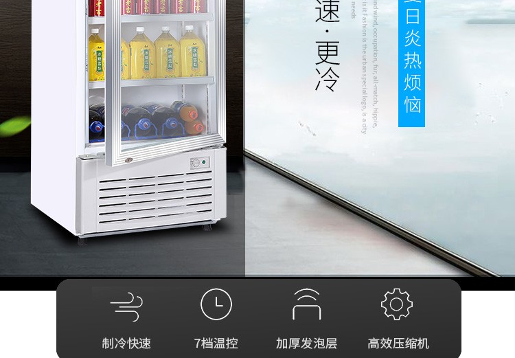 达克斯(dukers)立式展示柜商用冷藏柜单门饮料柜超市便利店啤酒柜鲜花