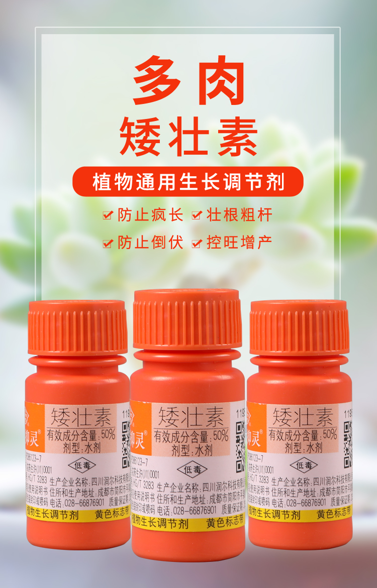 矮壮剂花卉通用型矮壮素肥花木水仙花花卉多肉矮壮素多效唑壮矮素200g