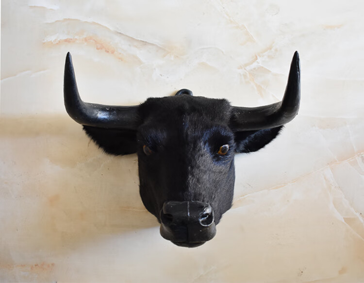 仿牛头牦牛头黄牛头动物头壁挂挂饰墙挂酒吧客厅家居装饰 牦牛牛头