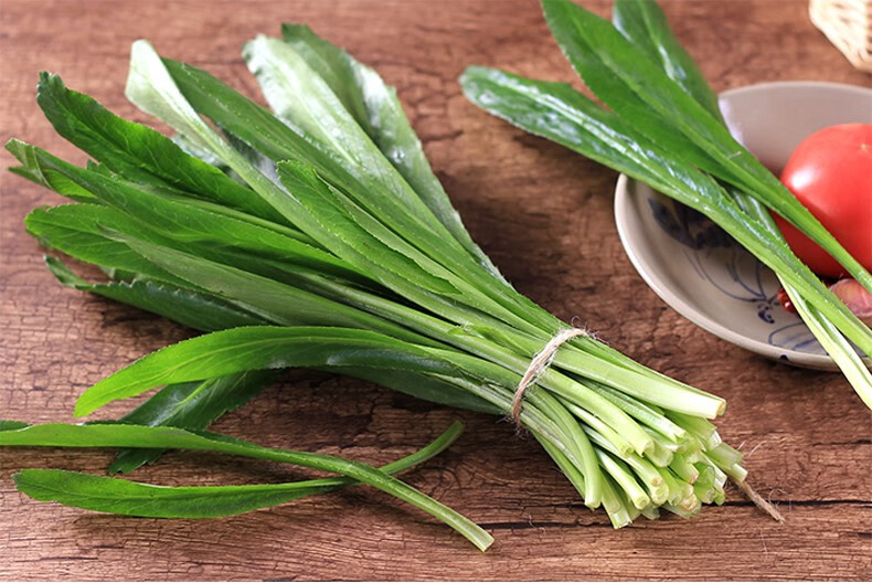 媚调 云南大香菜新鲜老缅芫荽傣族香料德宏大芫茜 泰国品种大芫荽2斤