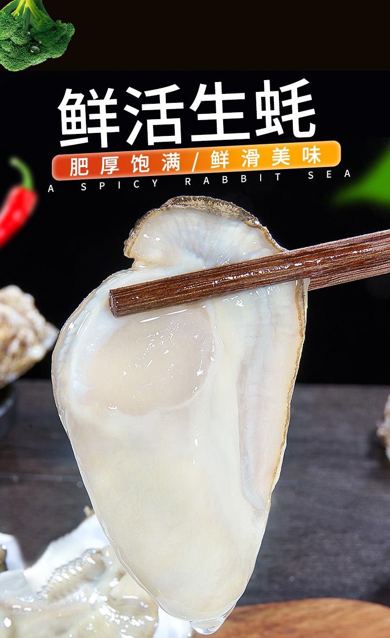 顺丰活鲜生蚝生蚝鲜活牡蛎净重45斤新鲜海蛎子牡蛎贝类现捕现发生鲜主