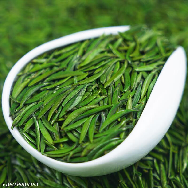 四川峨眉山雀舌2021年新茶特级散装500g嫩芽春茶绿茶茶叶浓香型