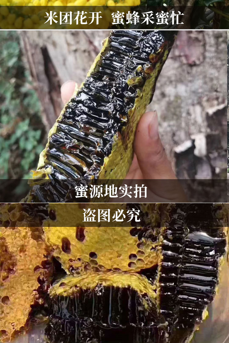 花蜜黑蜂蜜云南西双版纳纯正天然品质百花土蜂巢蜜 新蜜液态500gx2瓶
