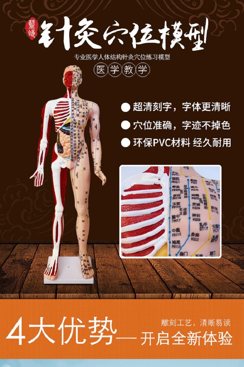 高清85cm针灸穴位半骨半皮人体模型模特超清晰中医学家用教学针灸模型