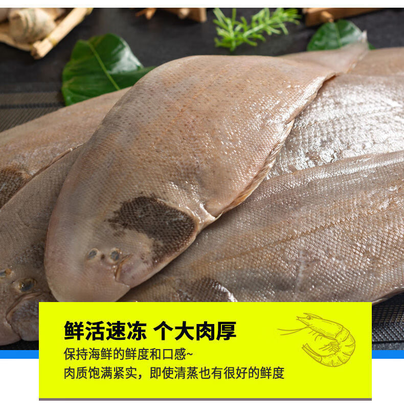 海捕舌頭魚塔米魚踏米魚踏板魚龍利魚鮮活海捕魚速凍冷凍 一斤裝 精品