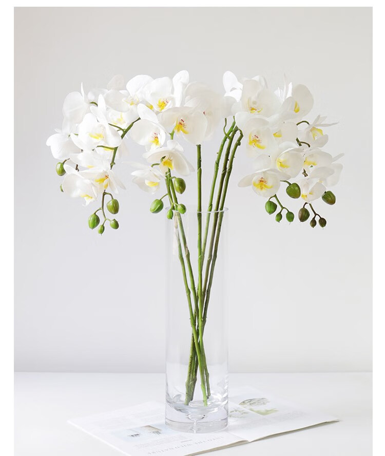 2022新款高品质白色蝴蝶兰仿真花单支摆件客厅假花插花婚庆装饰餐桌 9