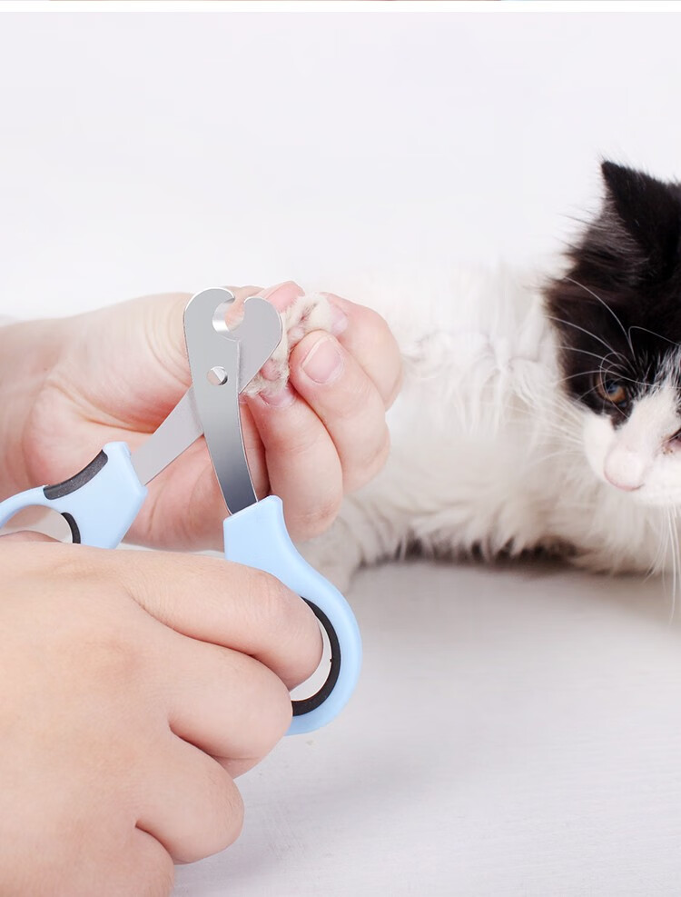 憨憨宠猫指甲剪宠物指甲刀猫狗通用指甲钳泰迪中大小型犬指甲刀宠物