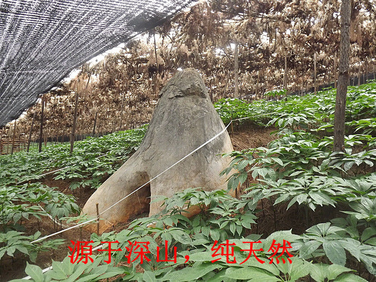 37ddb49cd0098091.jpg