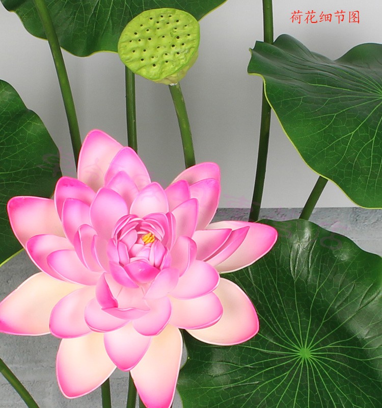 柚子格格(youzigege)卓领家居 仿真荷叶仿真荷花浮水睡莲莲花供佛水池