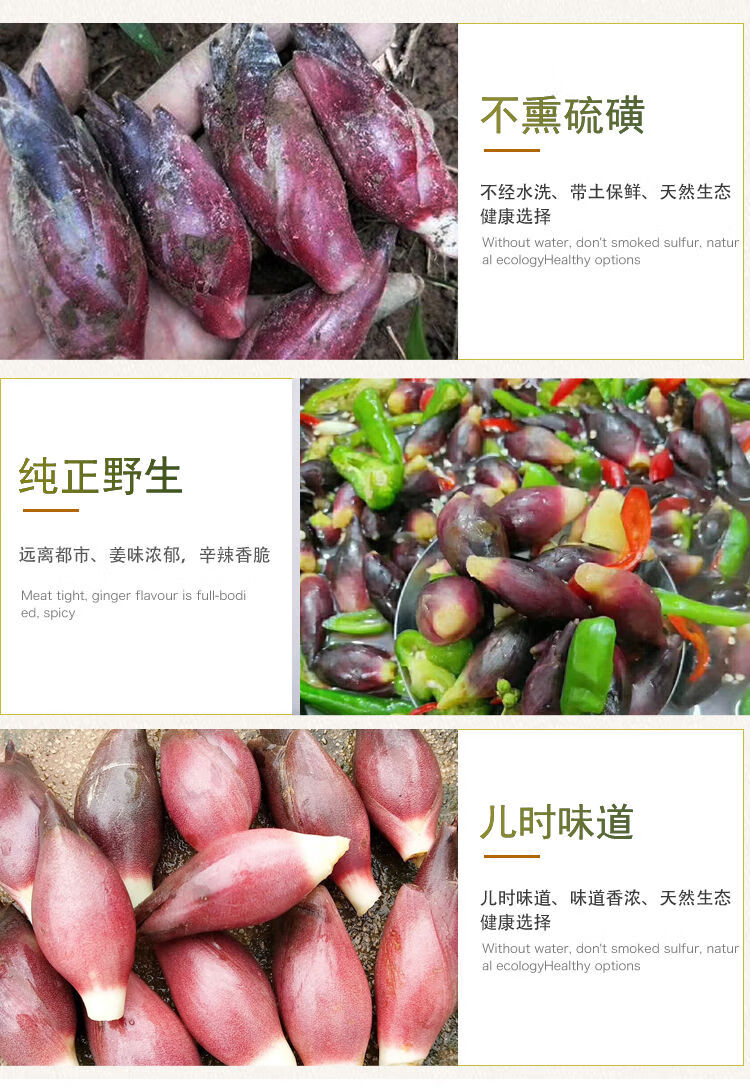洋荷姜新鲜野生阳荷姜阳河蘘姜阳和姜蔬菜阳藿洋荷洋胡姜蔬菜 2斤