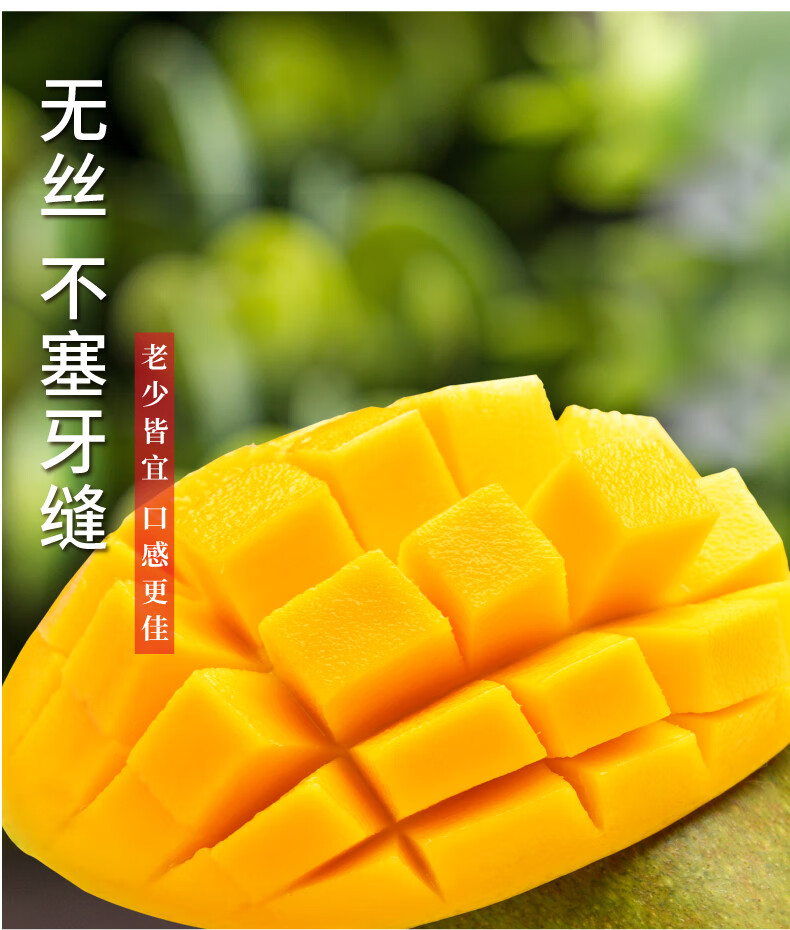 四川攀枝花凯特芒大果新鲜水果10斤当季青皮凯特芒果整箱桂七 5斤