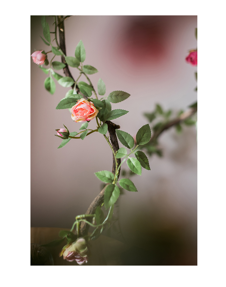 缠绕玫瑰藤蔓 藤月蔷薇 墙面垂吊花艺造景装 仿真花藤k 安格斯缠绕
