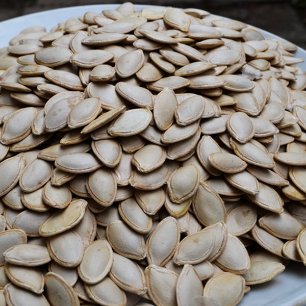 新货生熟南瓜子炒原味南瓜椒盐南瓜子五香南瓜籽五香207克