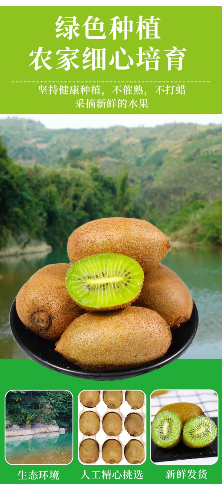 果果牛 湘西绿心猕猴桃当季新鲜奇异果多汁贵长水果 可选大果 精选9斤