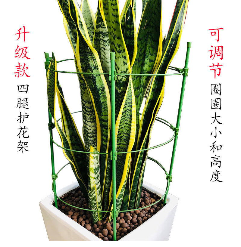 花架子阳台多层蟹爪兰支架月季花架爬藤架支撑圈金钱树支架固定架 高