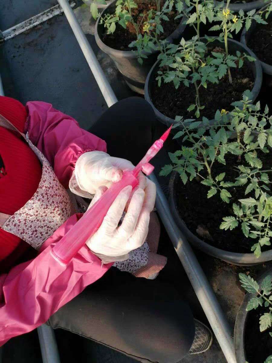 黄瓜茄子西红柿点花器沾花器点花神器授粉器番茄点花笔手动人工只有