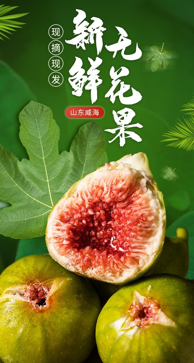 新鲜无花果山东威海青皮无花果新鲜水果当季生鲜孕妇宝宝水果一级果3