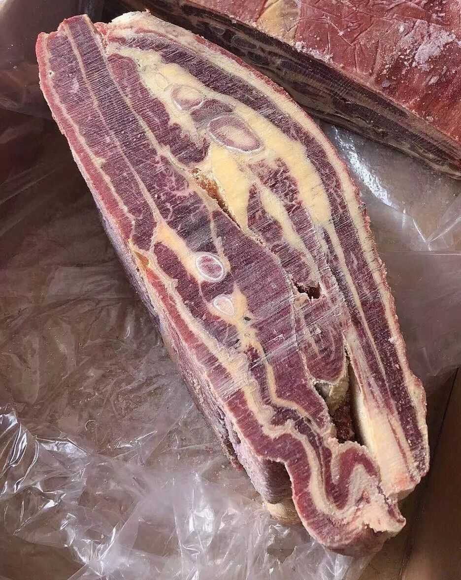 牛腩排牛腩 内蒙草原 锡林郭勒 黄膘带骨牛腩有筋有肉五花三层悦君心