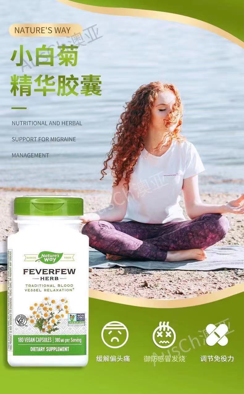 澳洲swayremed小白菊片100粒同blackmores