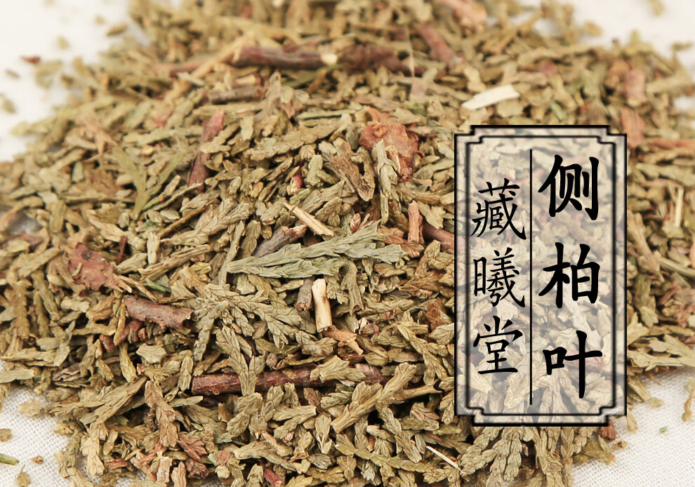藏曦堂侧柏叶 香柏叶 扁柏叶 柏树叶 中药材 精选