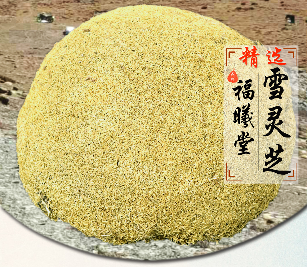 福曦堂 西藏雪灵芝 草灵芝500克袋装