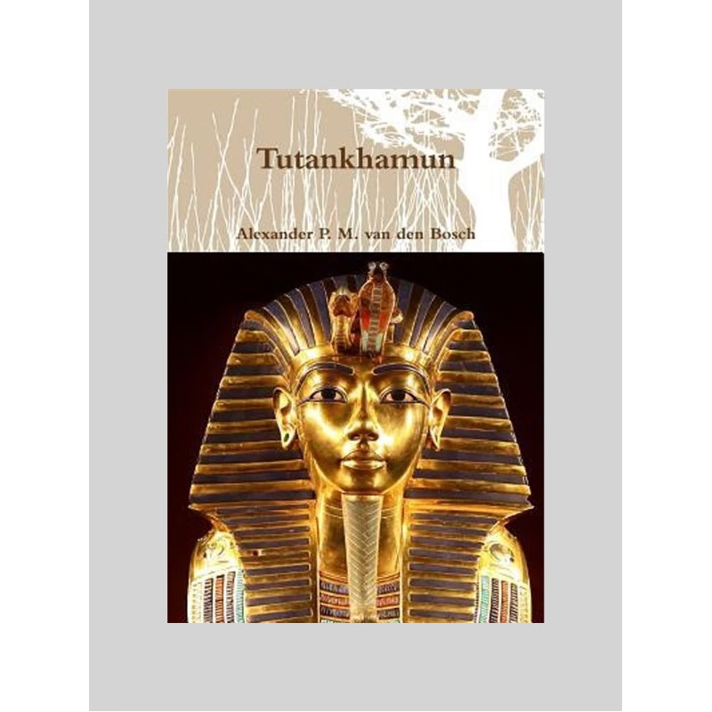 按需印刷Tutankhamun[9780244323066]