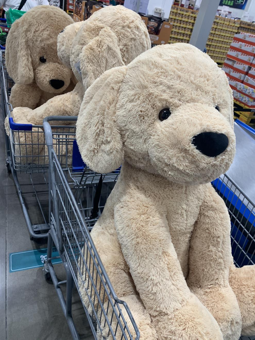 山姆狗狗玩偶毛绒玩具可爱大号抱枕睡觉抱礼品娃娃超大狗公仔动物网红