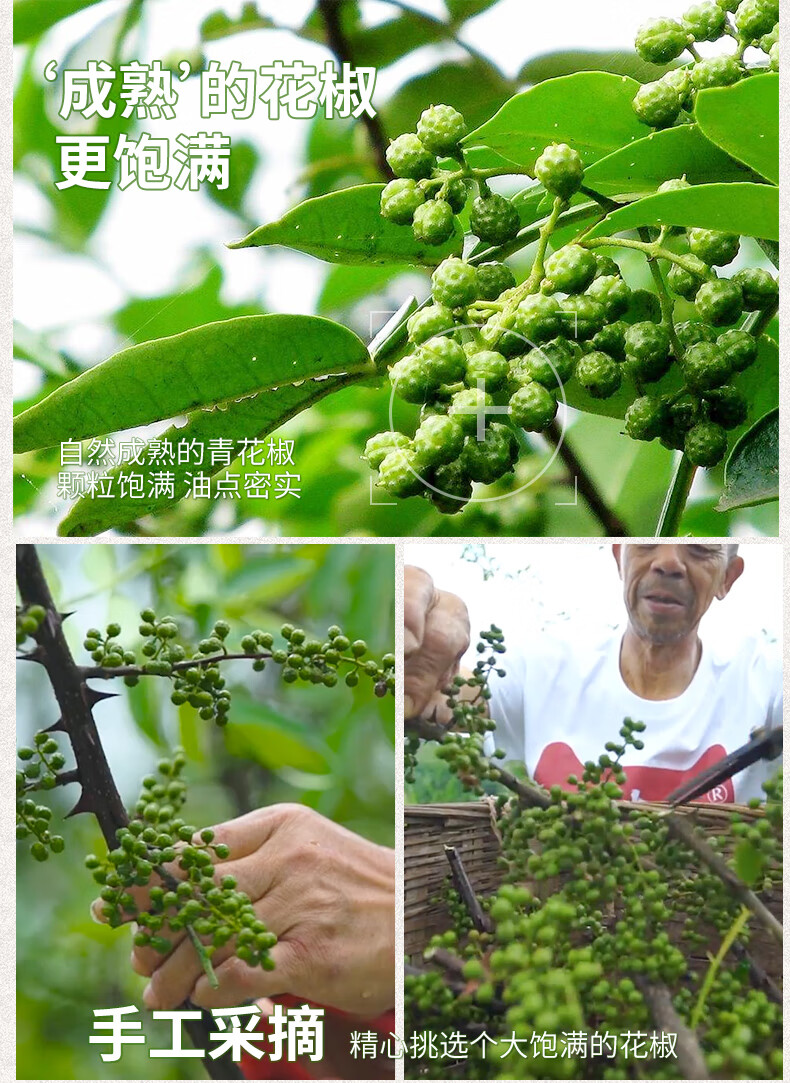 椒达人鲜花椒350g 江津花椒青花椒新鲜藤椒鲜麻椒新鲜冷冻保鲜真空袋装 图片价格品牌报价 京东