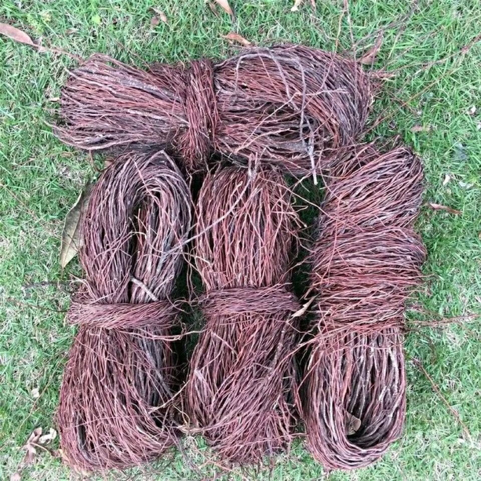 新日期榕树须100克 吊风根条布景装饰水族造景切断干货 (切段)100克