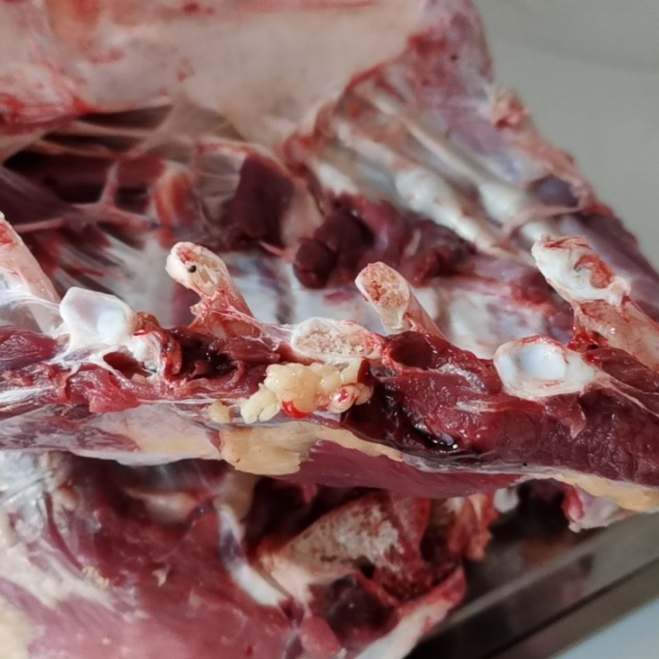 鸵鸟排骨新鲜鸵鸟排骨上等食材绿色健康酒店饭店食材方卡优才 5斤装