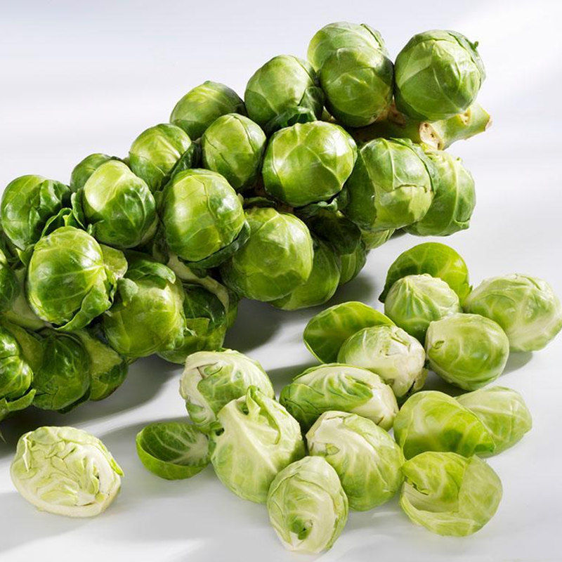 新鲜孢子甘蓝小包菜迷你卷心菜西餐蔬菜沙拉食材1-5斤装 1斤【图片