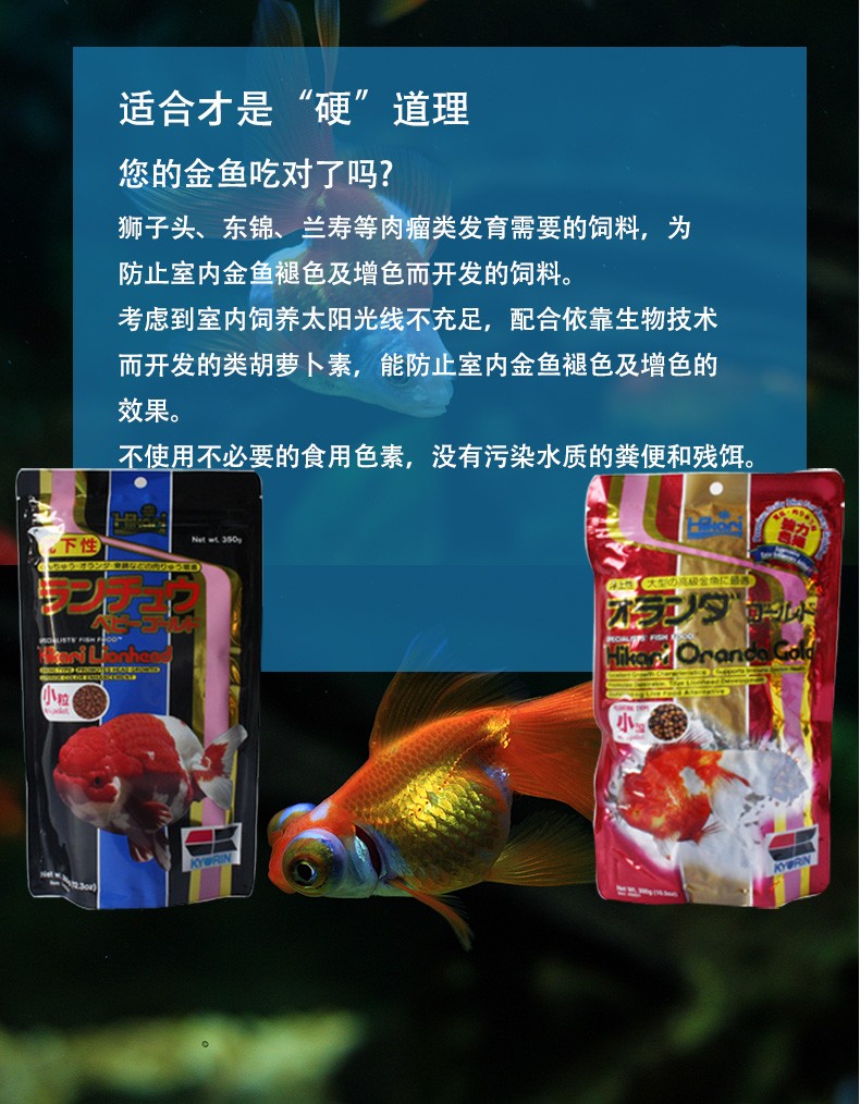 Hikari日本高够力原装进口樱花兰寿鱼饲料育成色扬特级色扬下沉金鱼锦鲤饲料不浑水鱼粮原装进口育成