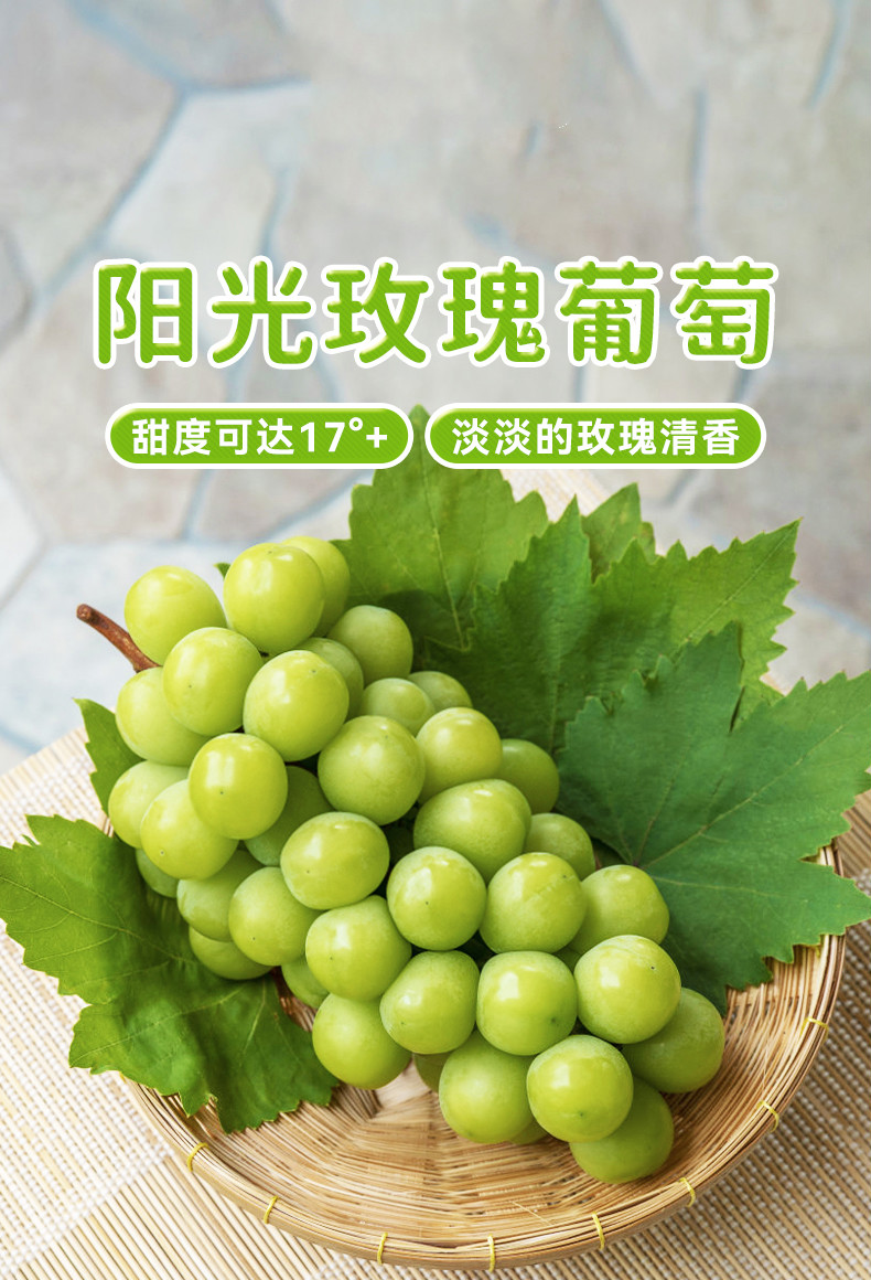静境【顺丰直达】云南阳光玫瑰葡萄新鲜香印无籽青提孕妇水果提子现摘