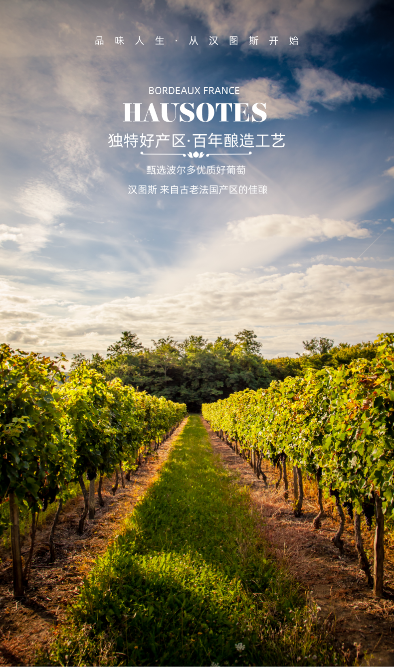 汉图斯hausotes法国原瓶进口红酒典藏波尔多赤霞珠干红葡萄酒750ml双