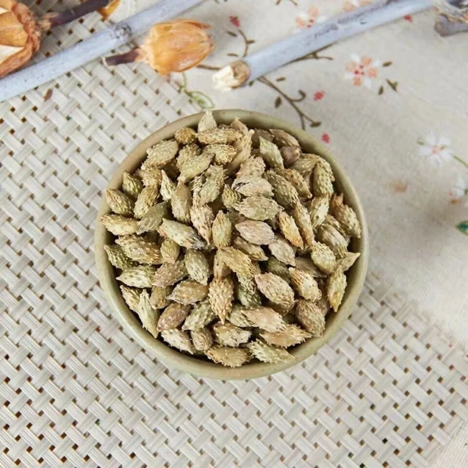 有仁堂中药材苍耳子正宗苍耳种子炒苍耳子成熟苍刺头毛苍子500克多